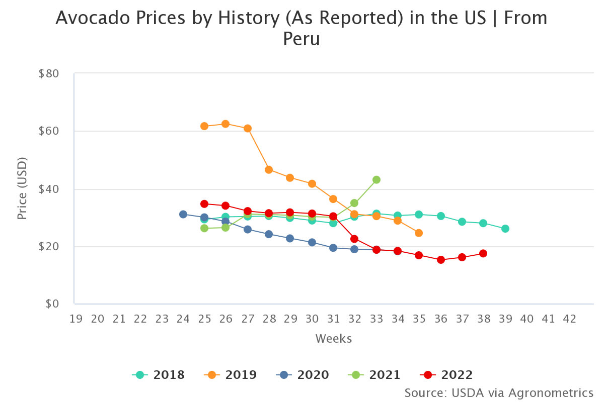 avocado prices by histor 11 1